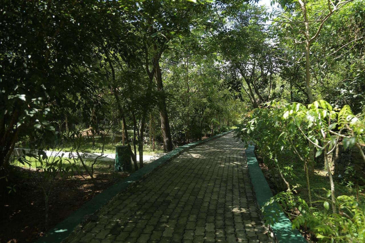 Laluna Ayurveda Resort Bentota Bagian luar foto