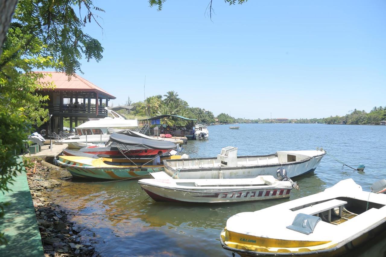 Laluna Ayurveda Resort Bentota Bagian luar foto
